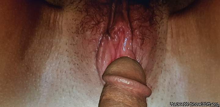 metro1000 in front the pussy of my wife