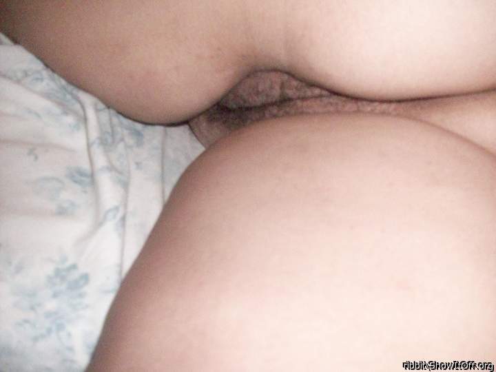 Photo of pudendum from ribbit