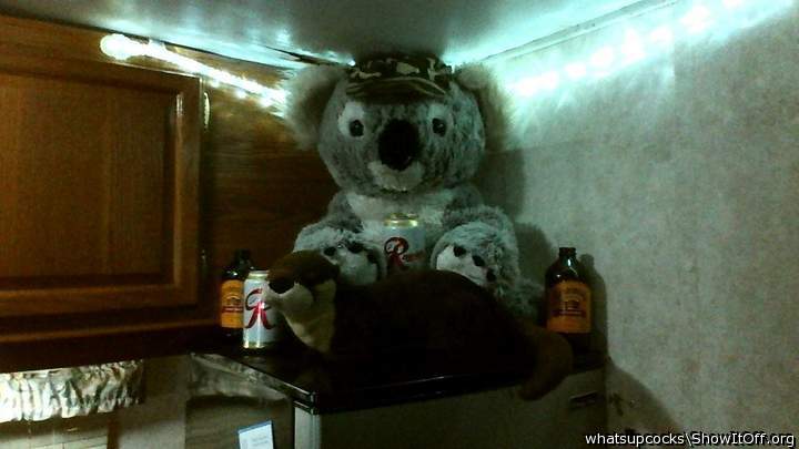 *** PARTY ANIMAL'S ***