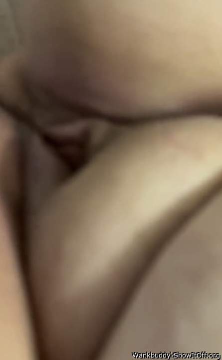 Photo of muff from Fatslut