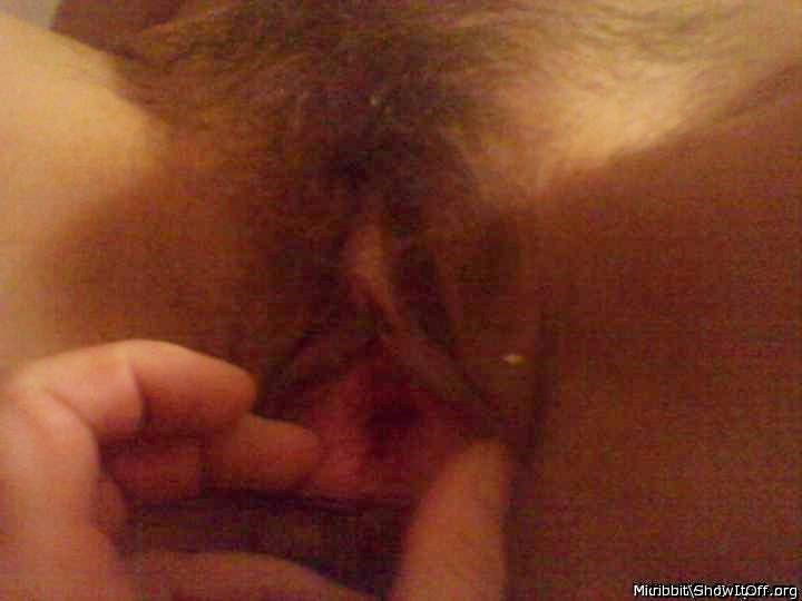 Photo of rose from ribbit