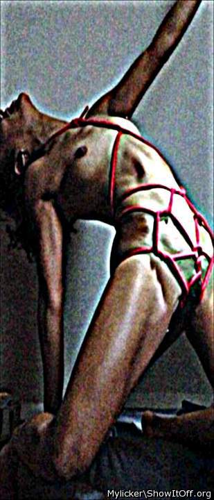 Adult image from Mylicker