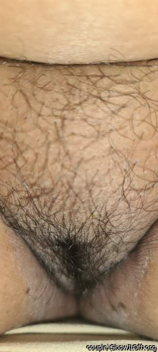 Love that hairy pussy 