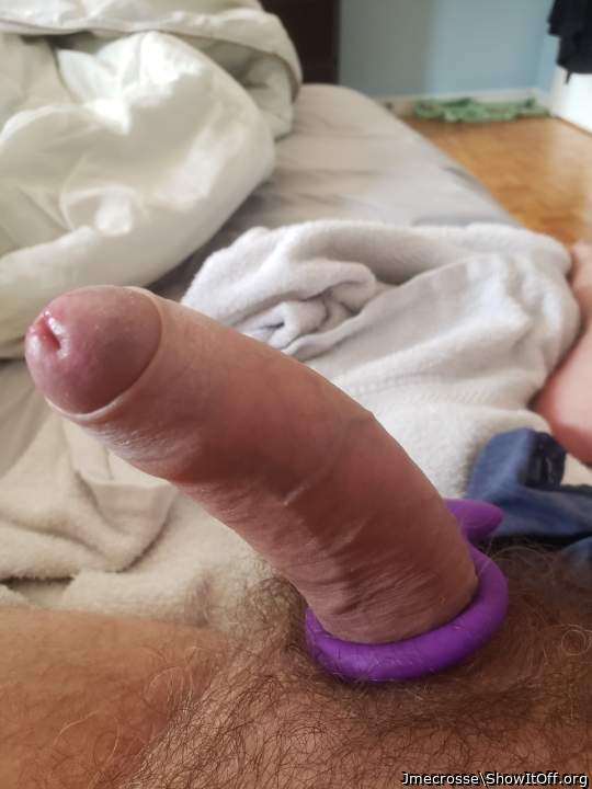 Photo of milkers from Jmecrosse