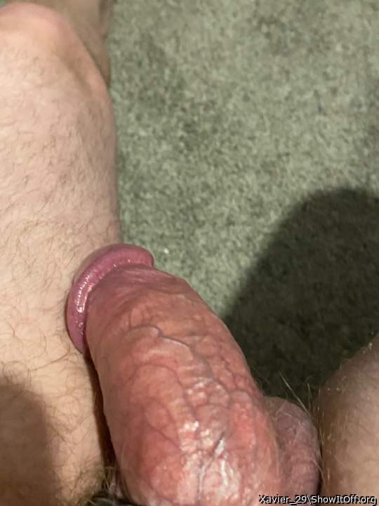 Adult image from Xavier_29