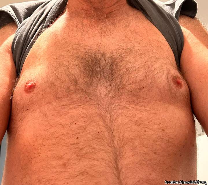 Hot Hairy Sexy Man Chest. Woof!!