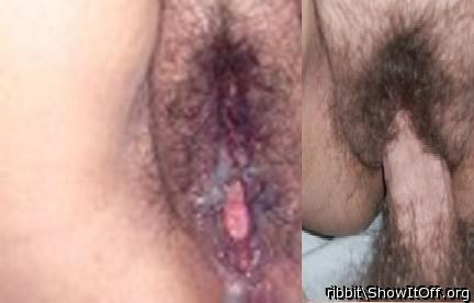 Adult image from ribbit