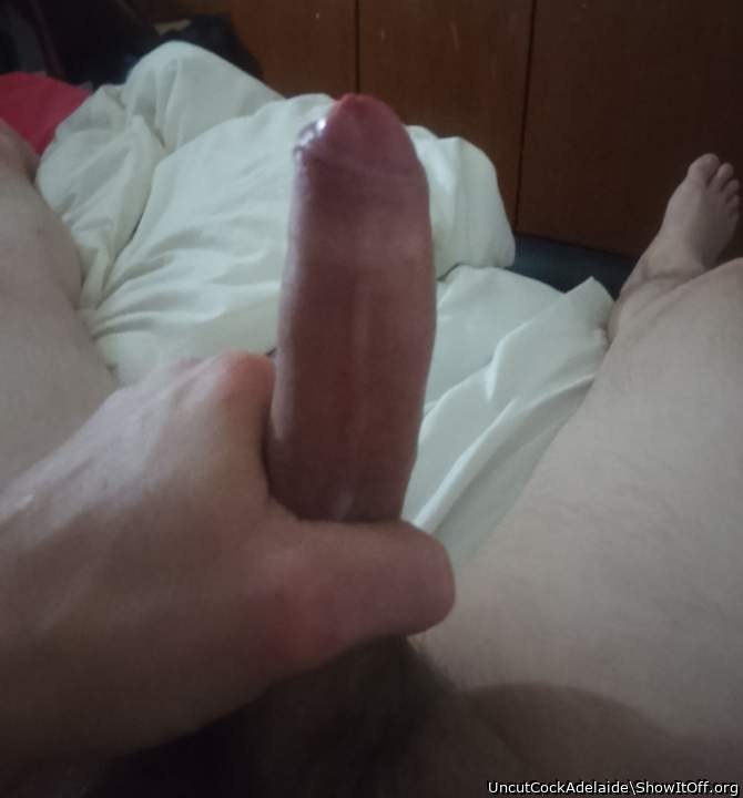 Adult image from UncutCockAdelaide