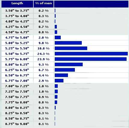 White male penis length stats