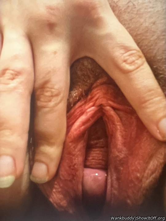 Photo of cooter from Fatslut