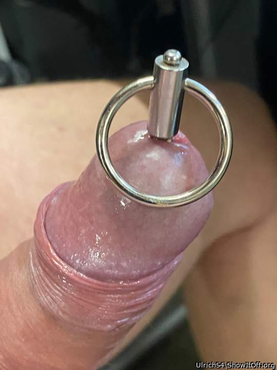 Adult image from Ulrich54