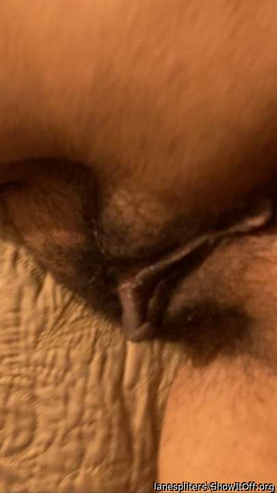 Hairy Pussy.  Pussy Lips are Hungry for cock