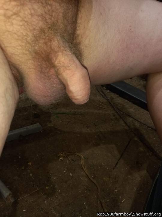 Adult image from Rob1988farmboy