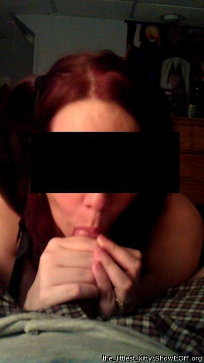 Adult image from the_littlest_kitty