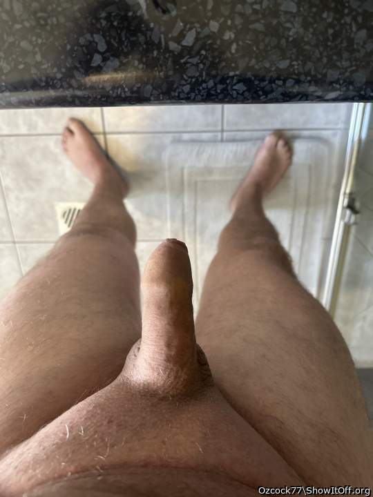 My shaved Aussie 6