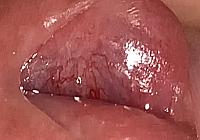 Check out these vessels in my slut hole!