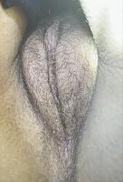 photo of fudd