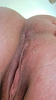 photo of rose